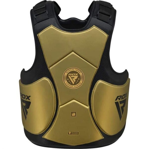 מגן גוף למאמן - PRO TRAINING TRI LIRA 1 SILVER