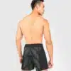 מכנסי לחימה Venum Phantom Fightshorts Black/Red