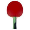 ⁦מחבט בטרפליי Butterfly Timo Boll SMARAGD (מק"ט XW85018)⁩ – תמונה ⁦3⁩