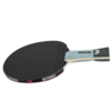 ⁦מחבט בטרפליי Butterfly Timo Boll SG77 (מק"ט XW85027)⁩ – תמונה ⁦3⁩