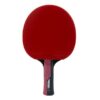 ⁦מחבט בטרפליי Butterfly Timo Boll RUBY (מק"ט XW85029)⁩ – תמונה ⁦4⁩