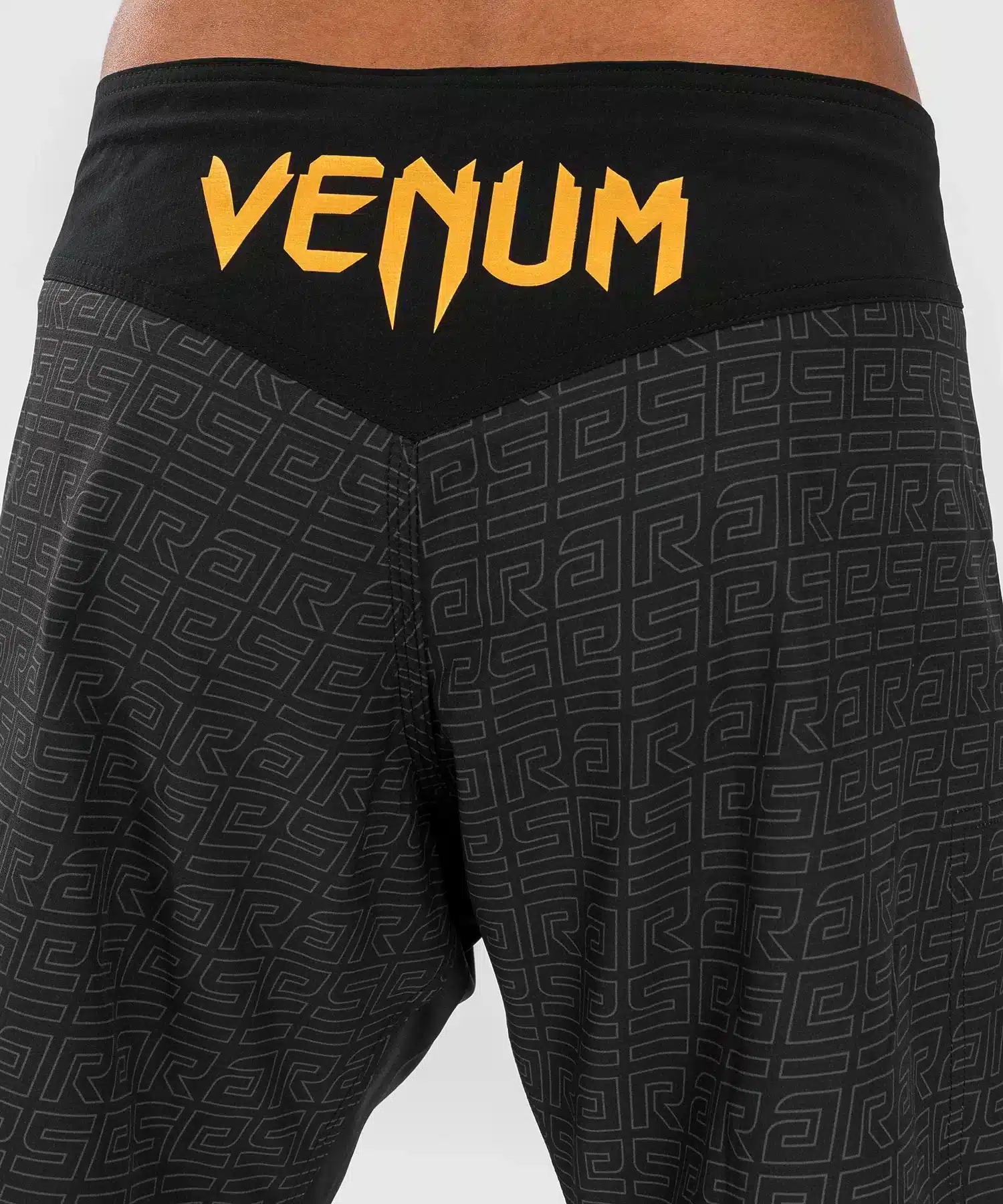 מכנסי לחימה Venum x Ares 2.0 Fight Shorts - Black/Gold