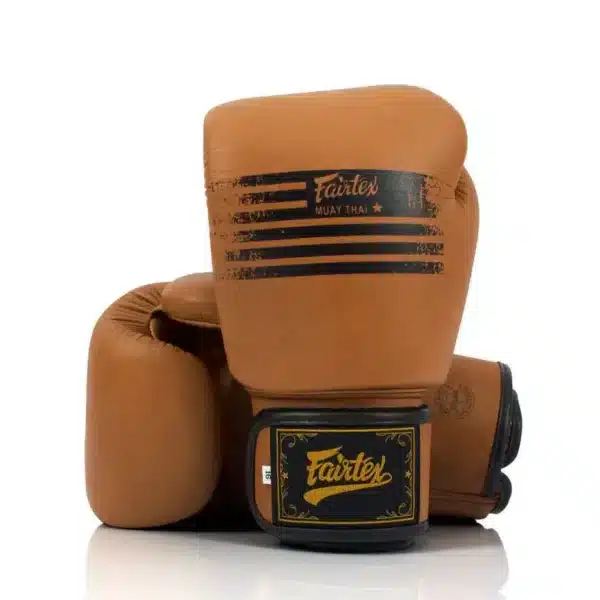 כפפות איגרוף פיירטקס  Legacy  FAIRTEXGenuine Boxing Gloves BGV21