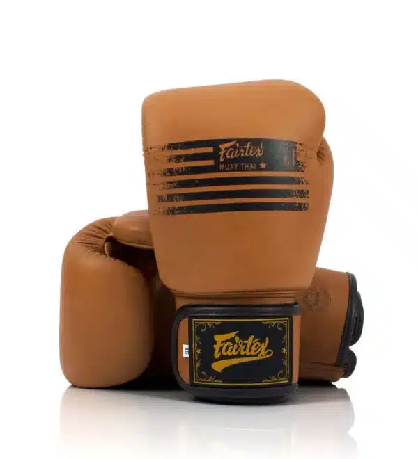 כפפות איגרוף פיירטקס  Legacy  FAIRTEXGenuine Boxing Gloves BGV21