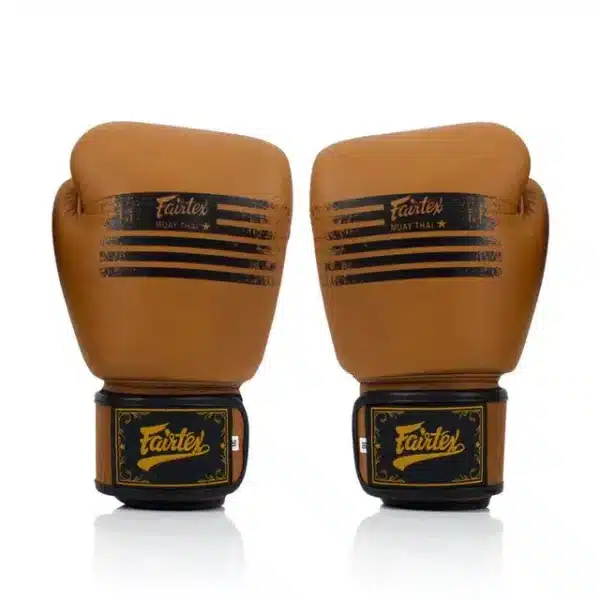 כפפות איגרוף פיירטקס  Legacy  FAIRTEXGenuine Boxing Gloves BGV21