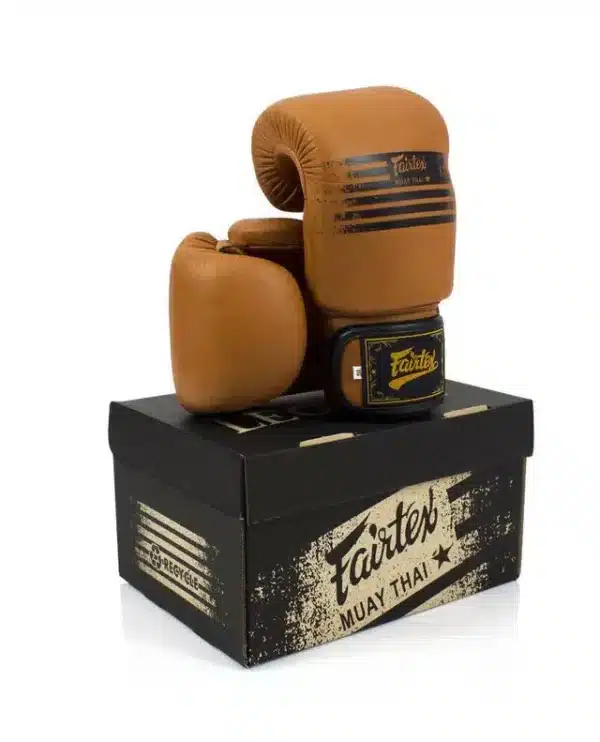 כפפות איגרוף פיירטקס  Legacy  FAIRTEXGenuine Boxing Gloves BGV21