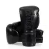 כפפות איגרוף פיירטקס FAIRTEX Microfiber Gloves - Art Collections BGV14 - שחור