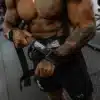⁦רצועות הרמה מקצועיות SCHIEK 1000DLS Dowel Lifting Straps⁩ – תמונה ⁦3⁩