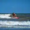⁦גלשן גלים קצר 5'6 פיט (167 ס"מ)- BOARDWORKS Froth 5'6" Shortboard⁩ – תמונה ⁦3⁩