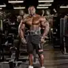 ⁦רצועות הרמה מקצועיות מעור Schiek Model 1000LLS Leather Lifting Straps⁩ – תמונה ⁦4⁩
