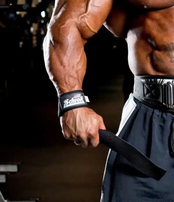 רצועות הרמה רחבות  Schiek Model 1000BLS2 Basic Lifting Straps