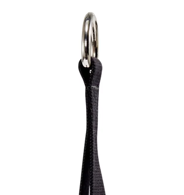 רצועת חיזוק מקצועית לשרירי הבטן Schiek 1400 Ab Strap