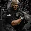 ⁦רצועות הרמה של מר אולימפיה רוני קולמן - Schiek Ronnie Coleman Signature Series RC 1907⁩ – תמונה ⁦2⁩