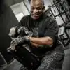 ⁦רצועות הרמה של מר אולימפיה רוני קולמן - Schiek Ronnie Coleman Signature Series RC 1907⁩ – תמונה ⁦5⁩